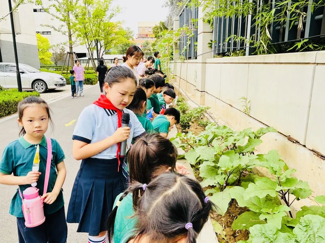 小学初体验 衔接零距离——中原区西郡第二小学与滨河花园幼儿园开展幼小衔接参观体验活动 第9张