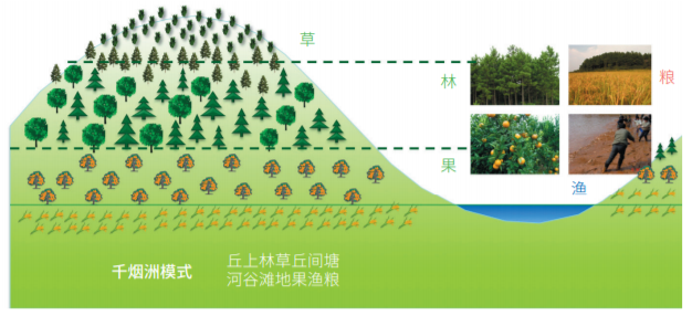 高考常考的农业专题! 第21张