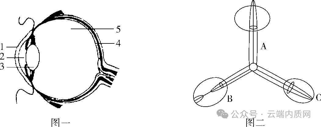 0605初中生物中考押题预测卷非选择题 第1张