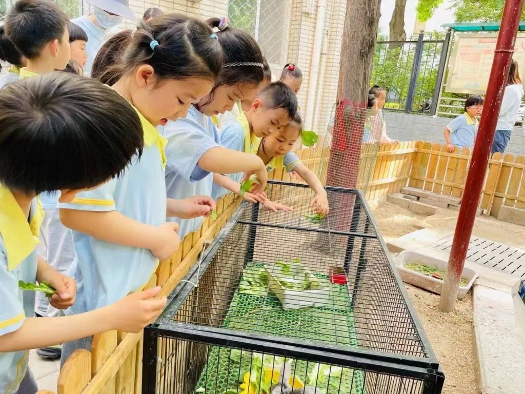 大班组参观小学活动 第31张