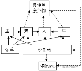 0605初中生物中考押题预测卷非选择题 第5张