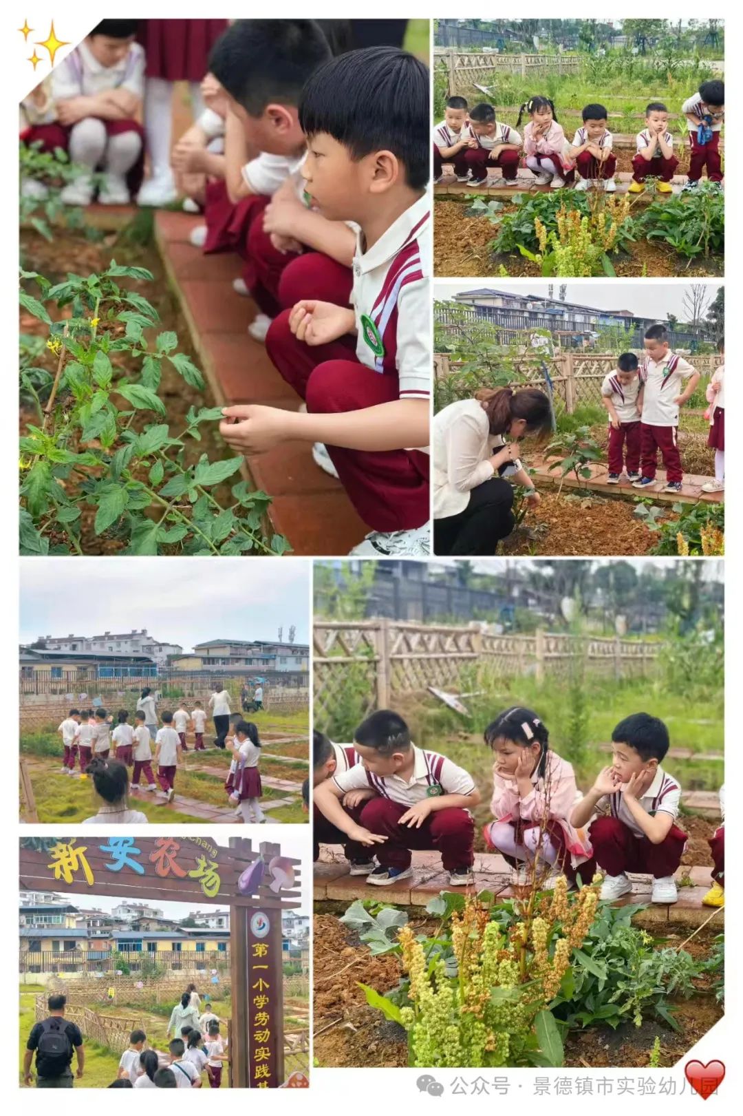 幼小衔接——景德镇市实验幼儿园  ·参观小学活动· 第21张