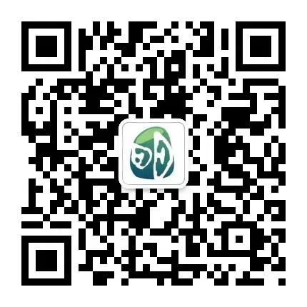 以练为战  防患未然——明德小学开展2024年春防震减灾疏散演练 第4张