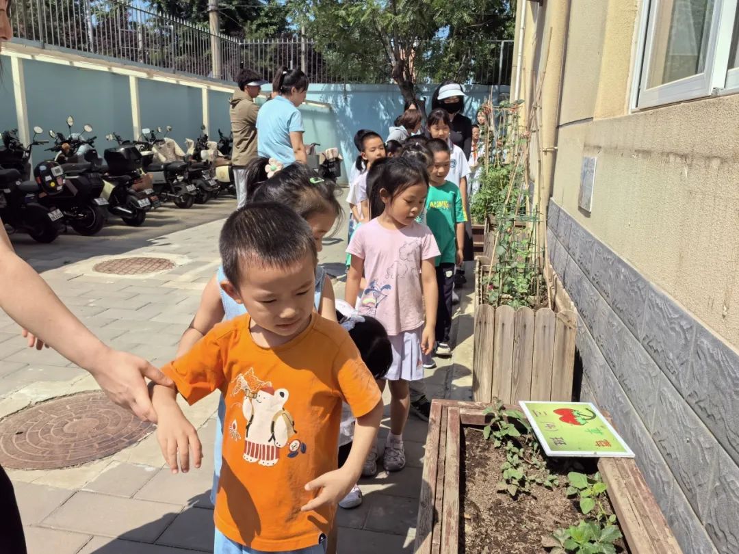 【幼小衔接  探秘小学】——北京中铁信达经贸有限公司幼儿园大班幼儿参观椿树馆小学活动 第14张