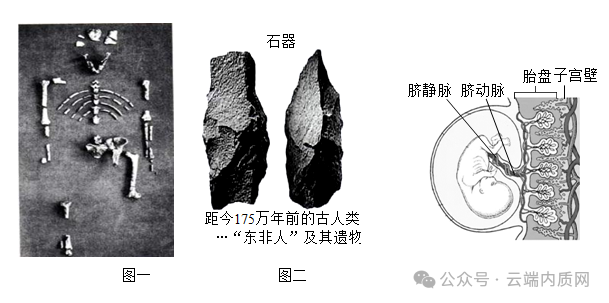 0605初中生物中考押题预测卷非选择题 第2张