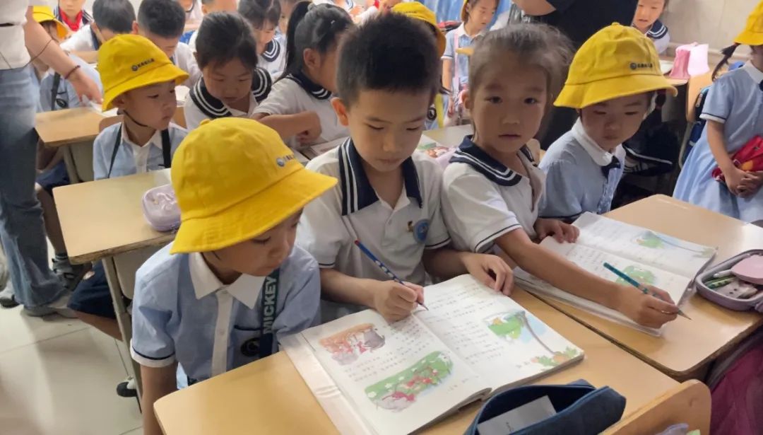 科学幼小衔接 —— 走进小学​,赴一场成长之旅 第5张