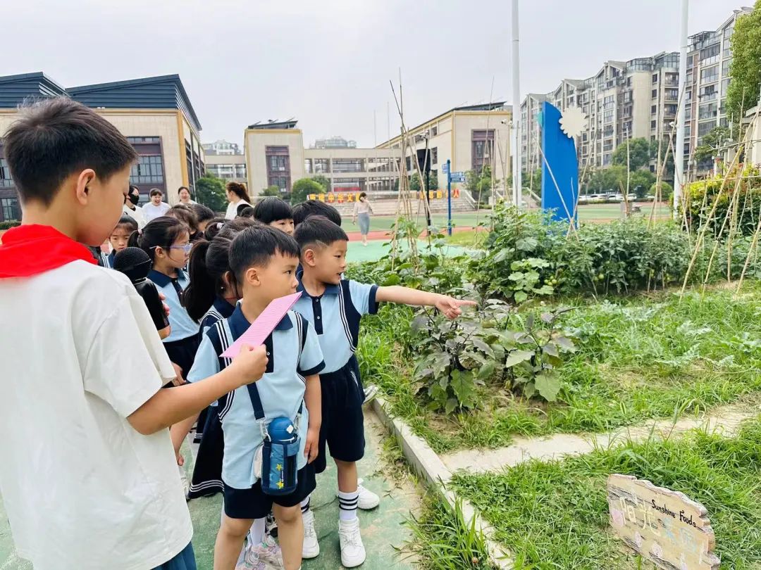 探秘小学  “幼”见成长 第17张