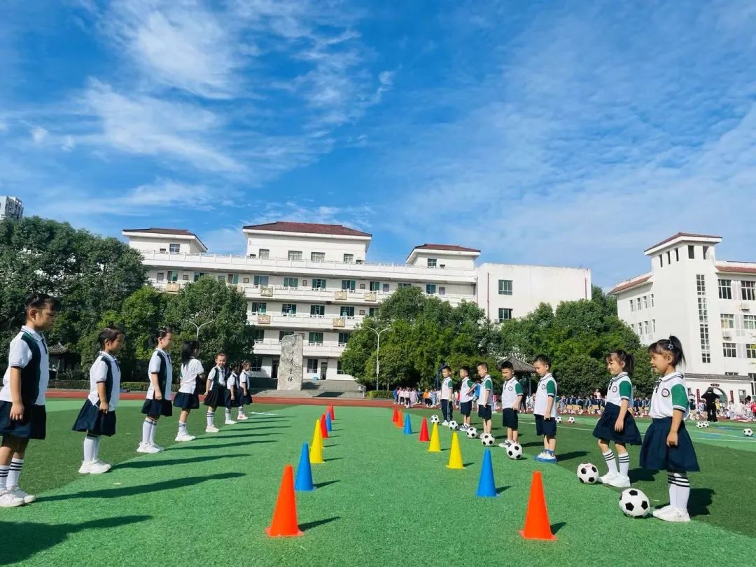 【招生公告】龙江小学附属幼儿园2024年秋季开始招生啦! 第47张