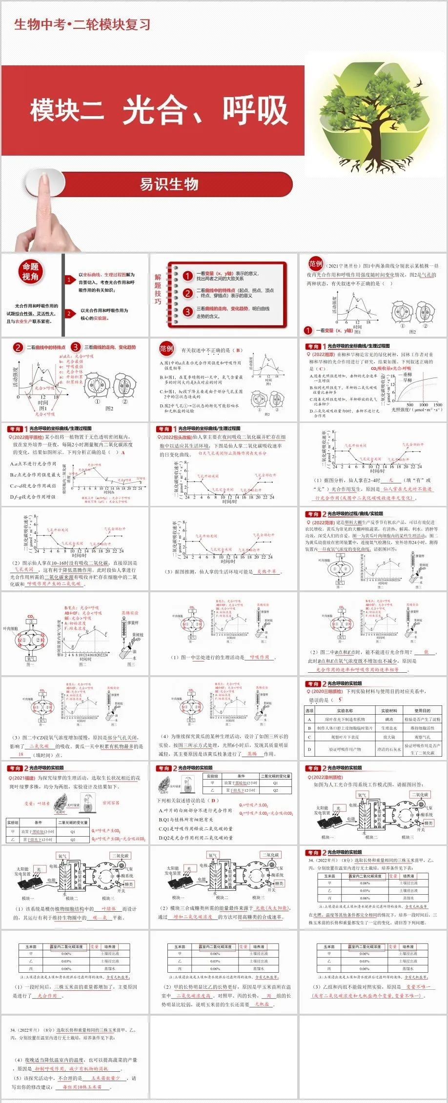 中考生物二轮复习课件 第3张