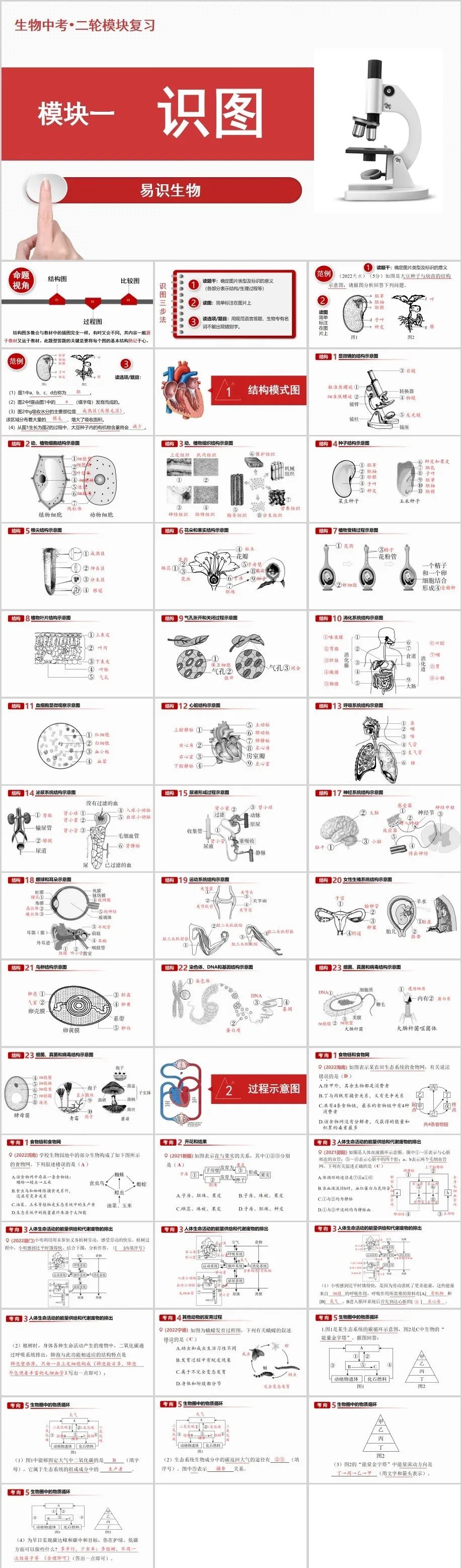 中考生物二轮复习课件 第2张