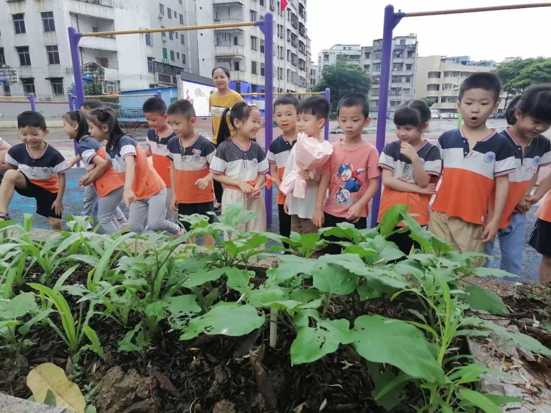 【幼小衔接】走近小学 体验成长——清新区太和镇中心幼儿园幼小衔接活动之参观小学 第21张