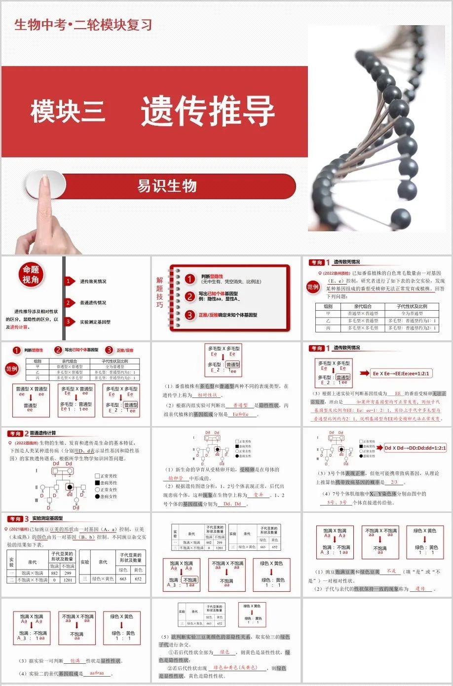 中考生物二轮复习课件 第4张