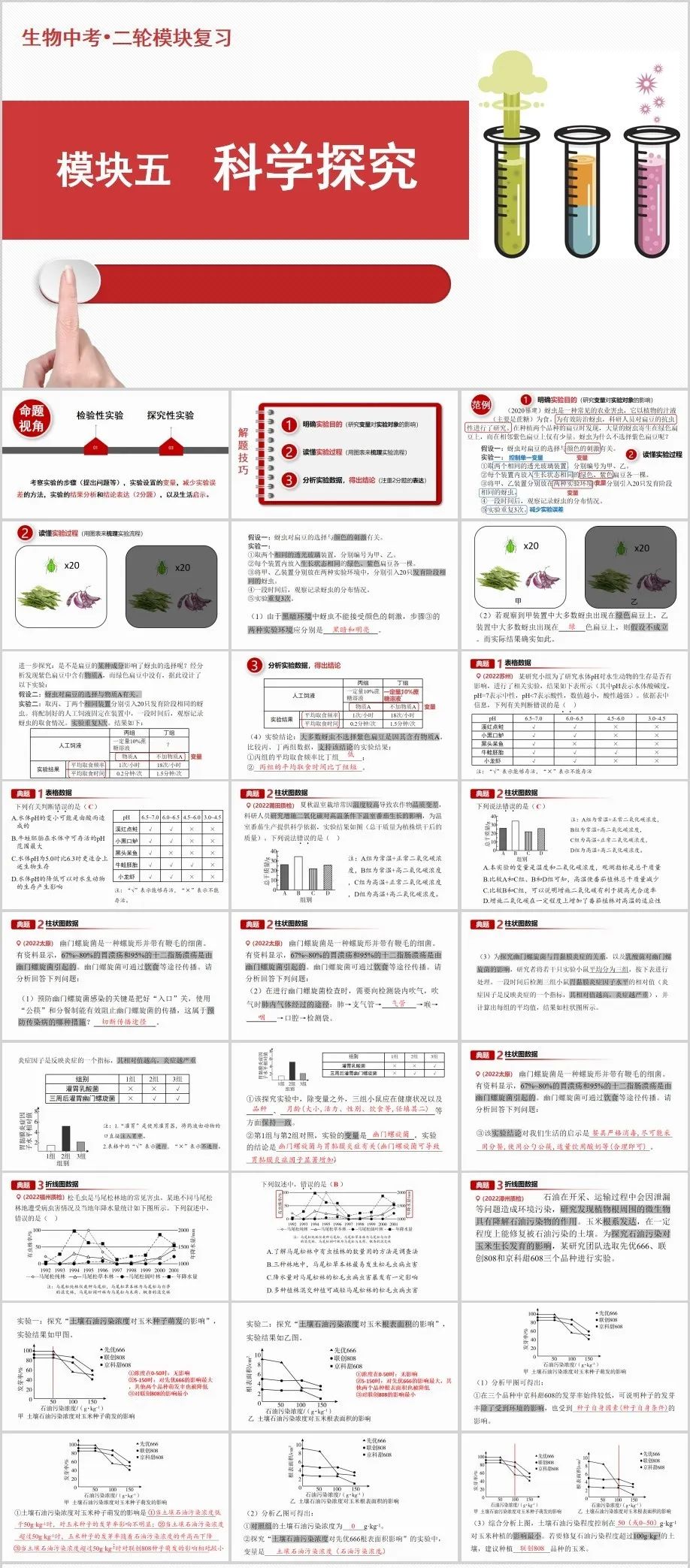 中考生物二轮复习课件 第6张