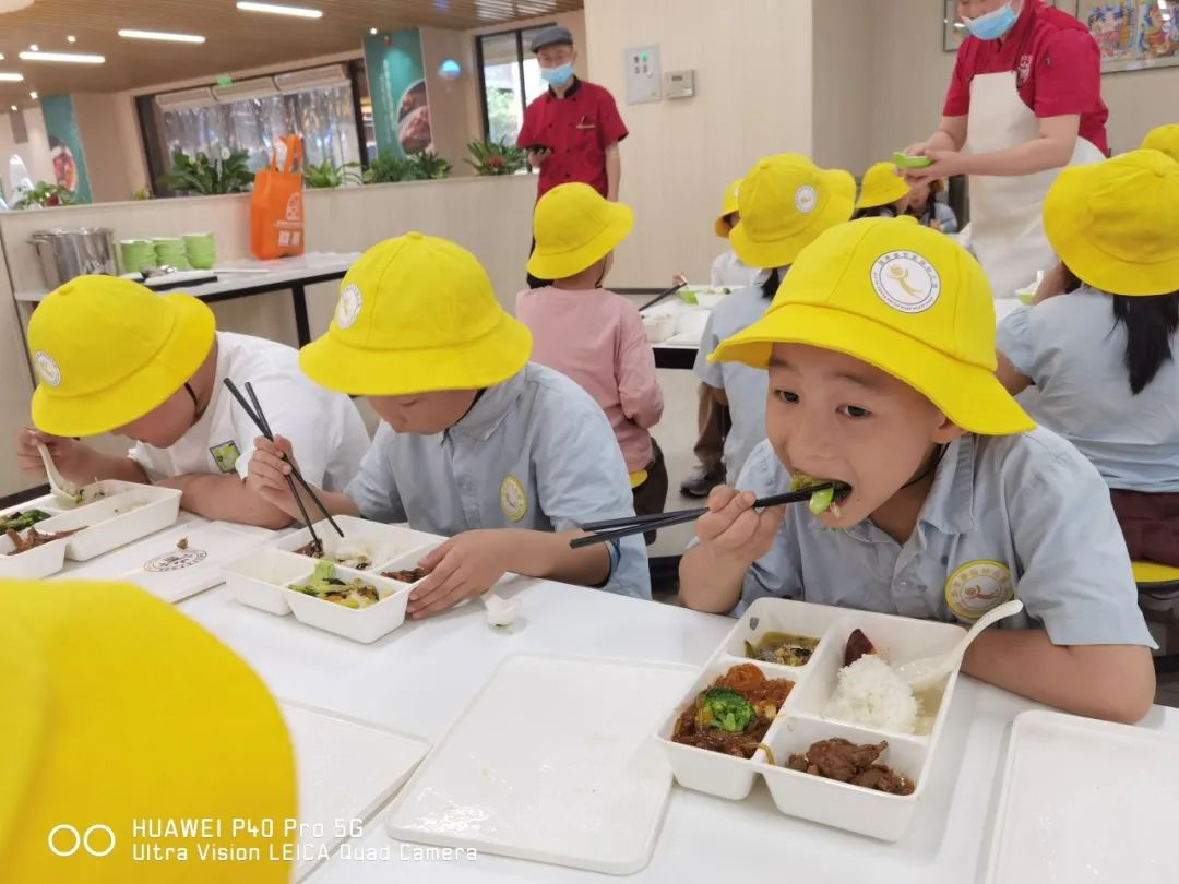 趣”探小学•“幼”遇成长——国泰盛世嘉园幼儿园幼小衔接“再”行动活动 第31张