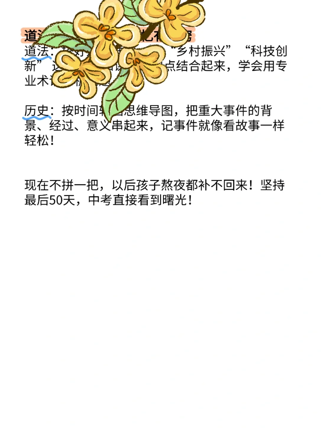 初三最后50多天！没计划的可以直接抄 第1张