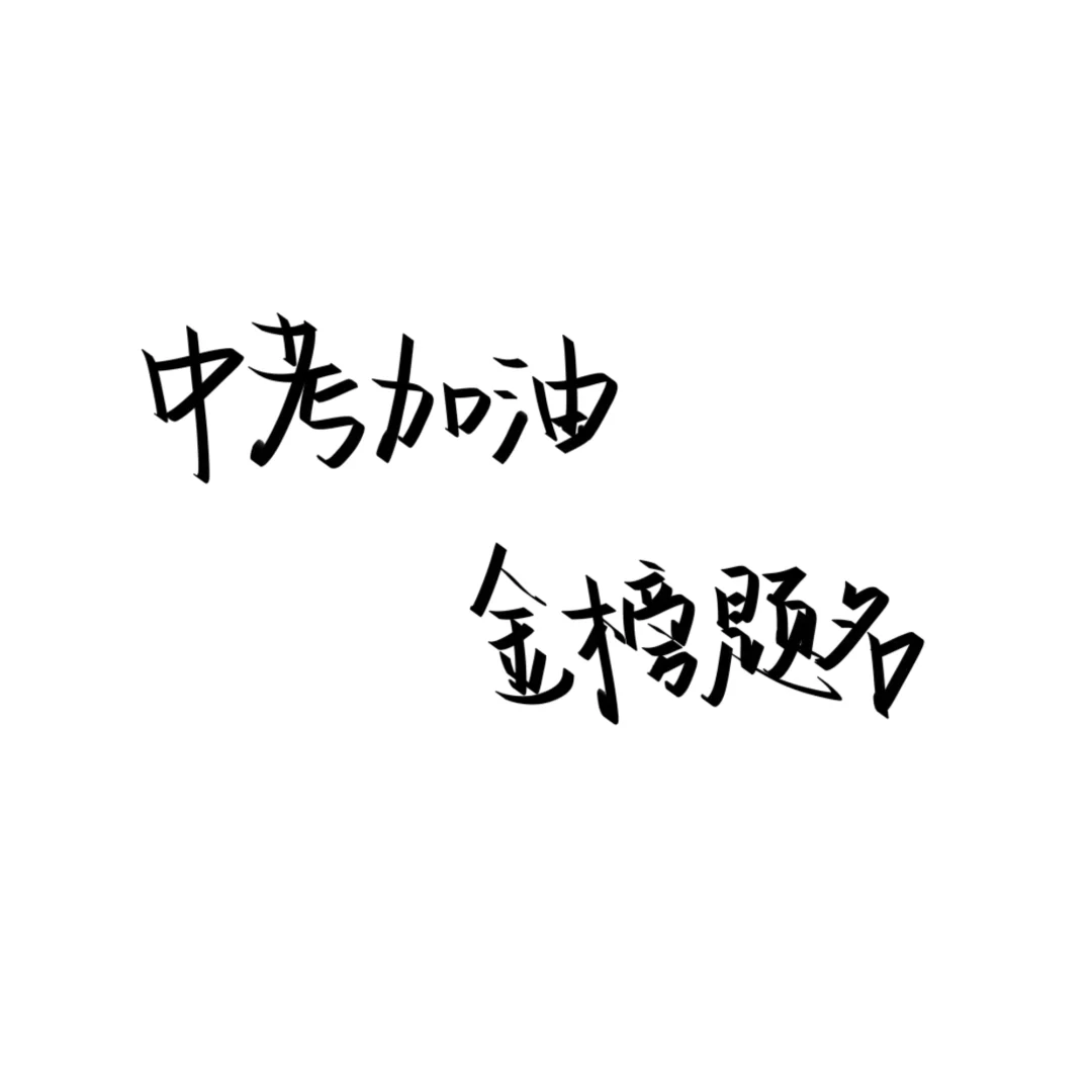 中考加油2025届考生 第3张