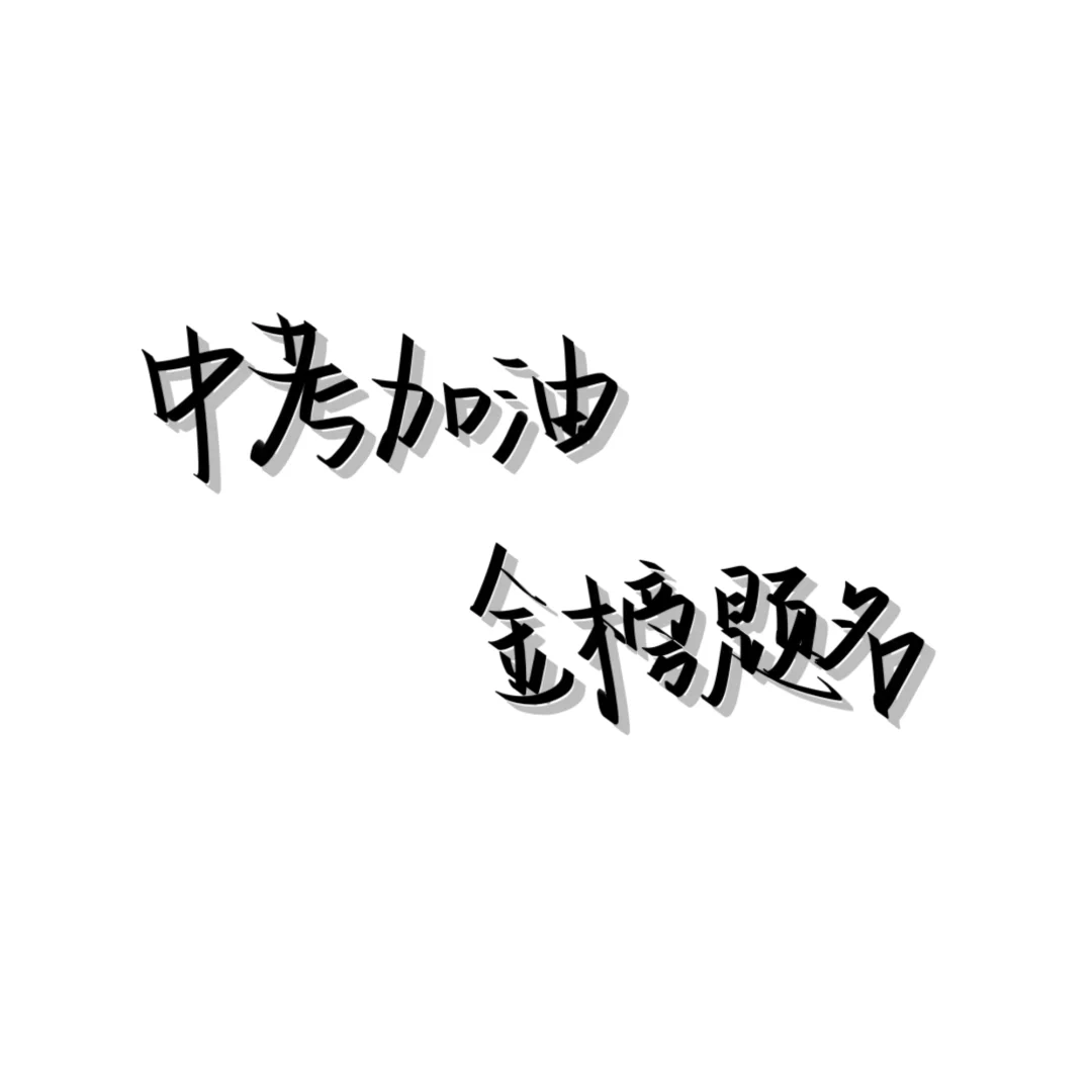 中考加油2025届考生 第2张
