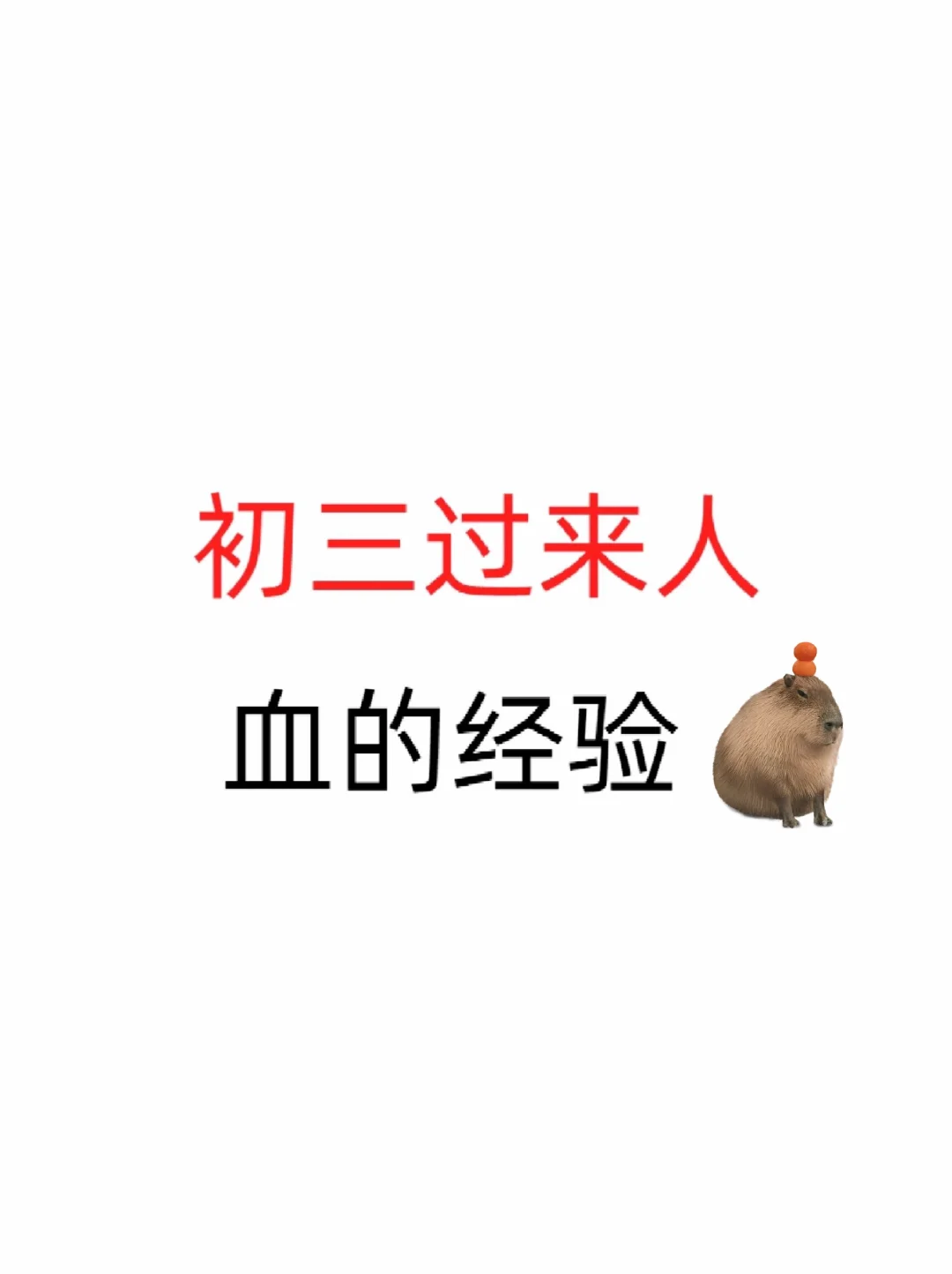 初三过来人血的经验分享！！！ 第1张