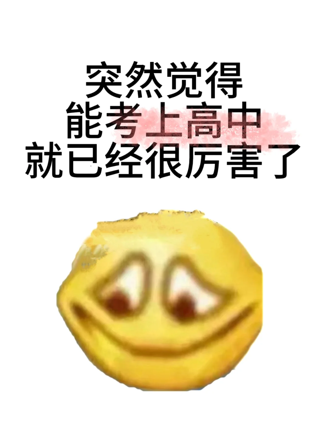 突然觉得能考上高中就很厉害了 第1张
