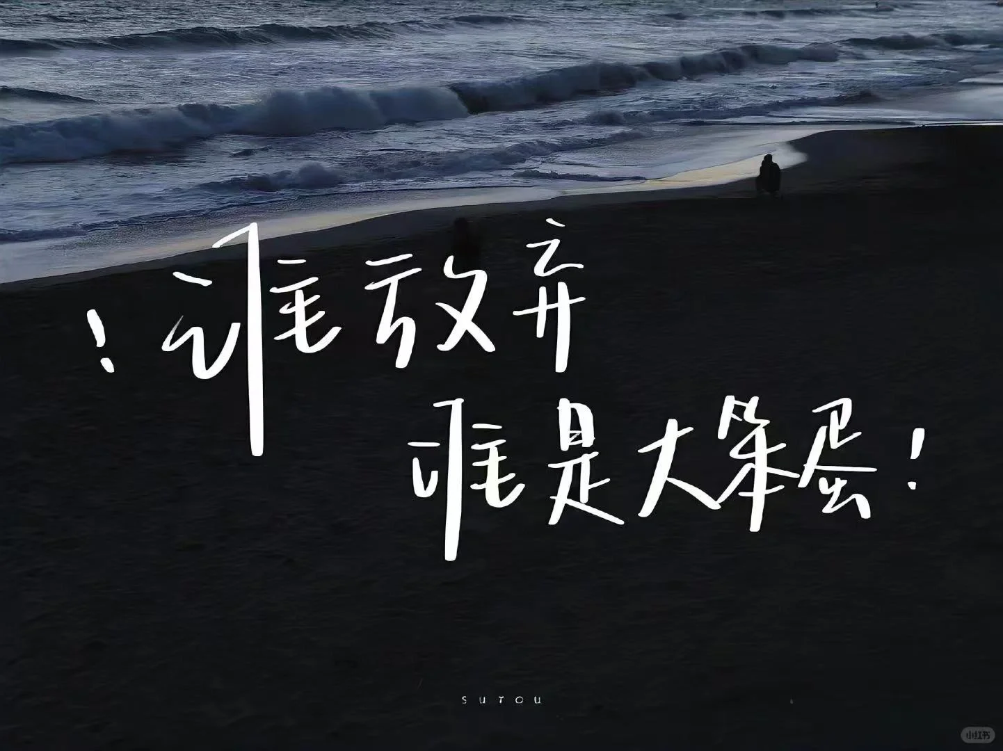《我不祝你中考顺利》 第3张