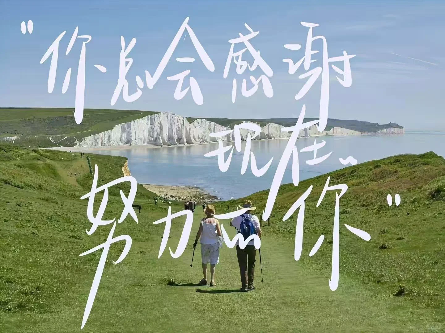 《我不祝你中考顺利》 第1张