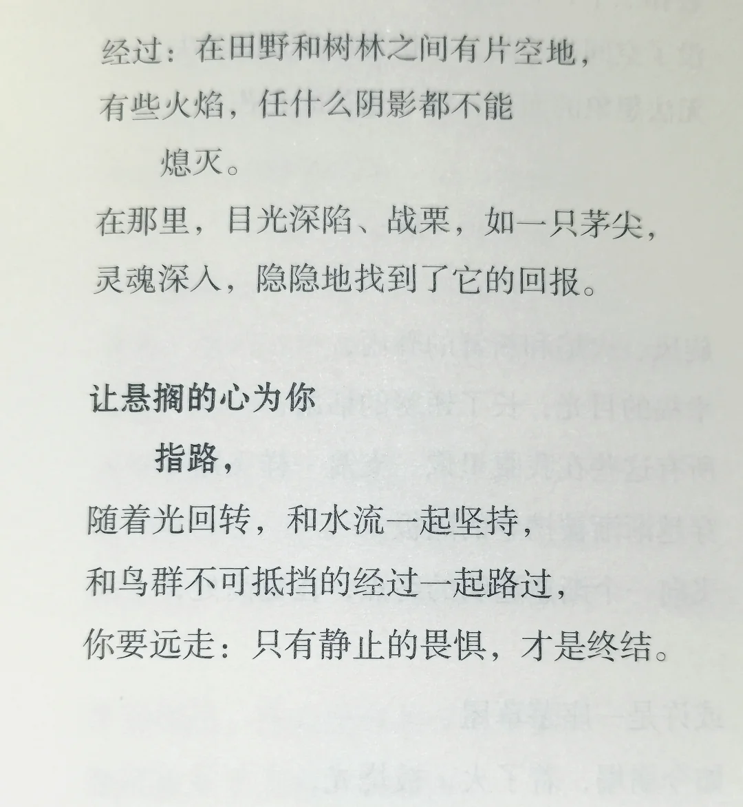 初三•努力备考中 第1张