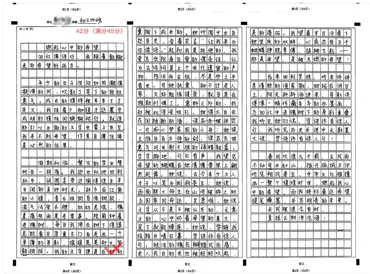 来看2023深圳中考全市第一作文 第2张