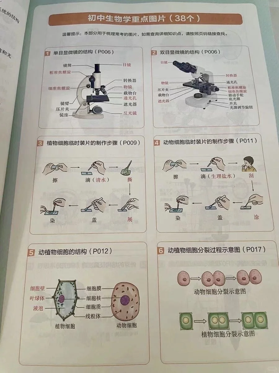 过来人建议：不要浪费孩子初中的时间了！ 第1张
