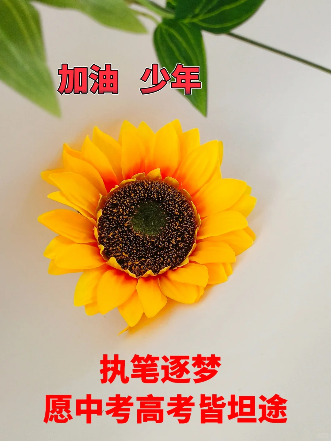 执笔逐梦，愿中考高考皆坦途 第2张