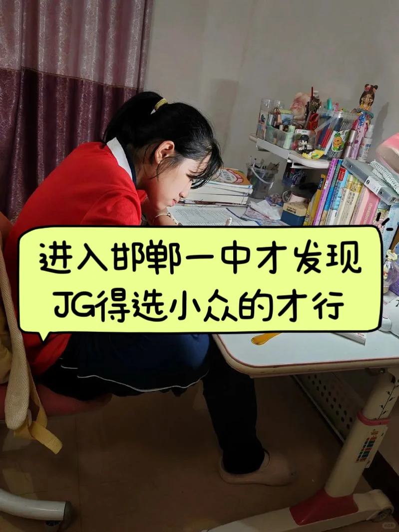 进入邯郸一中才发现，木几构选小众的才行 第1张