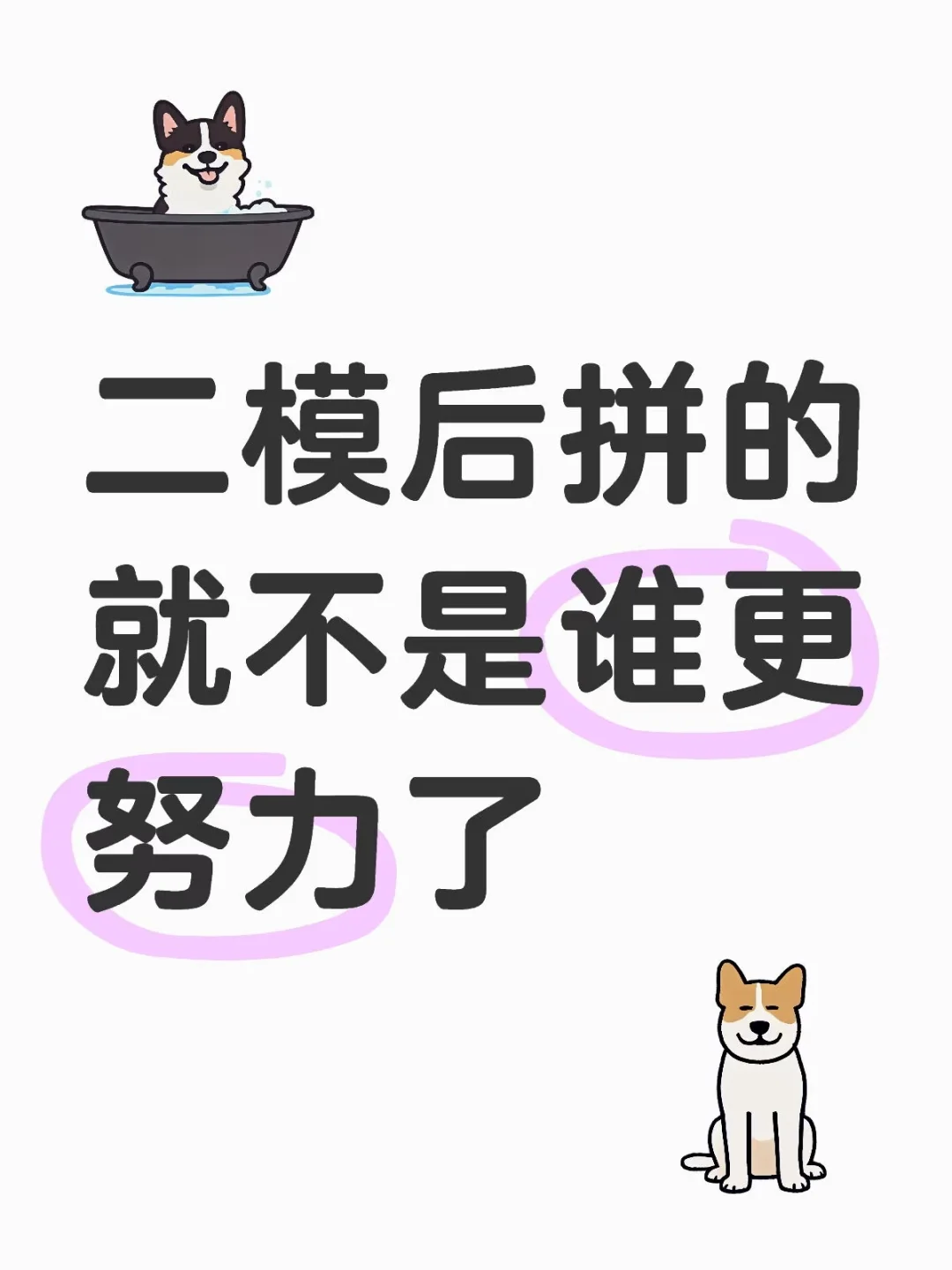 其实，初三二模后，拼的就不是谁更努力了 第1张