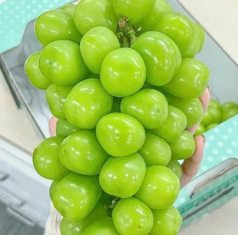 6月中考专用头像 第1张