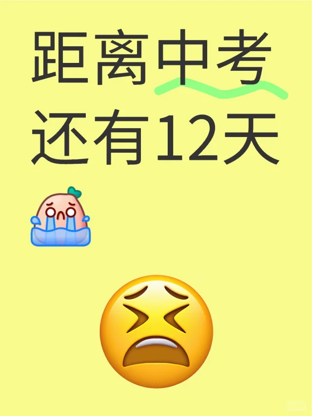 还有12天😬 第1张