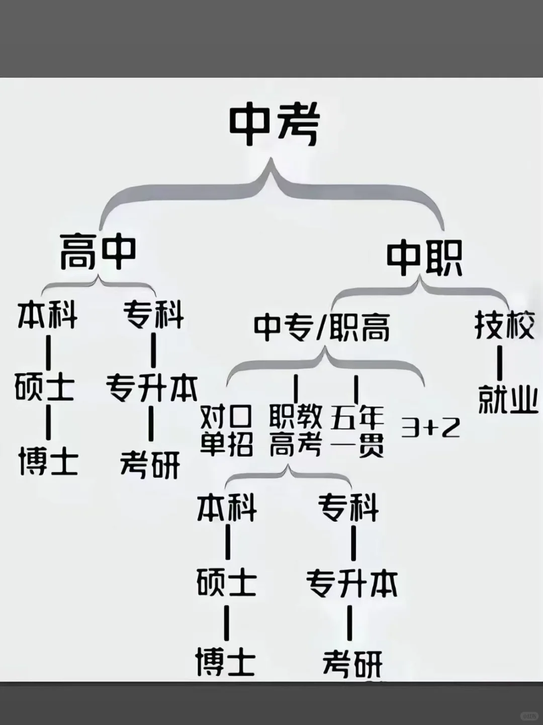 💥中考后升学路径大揭秘！选高中还是中职 第1张