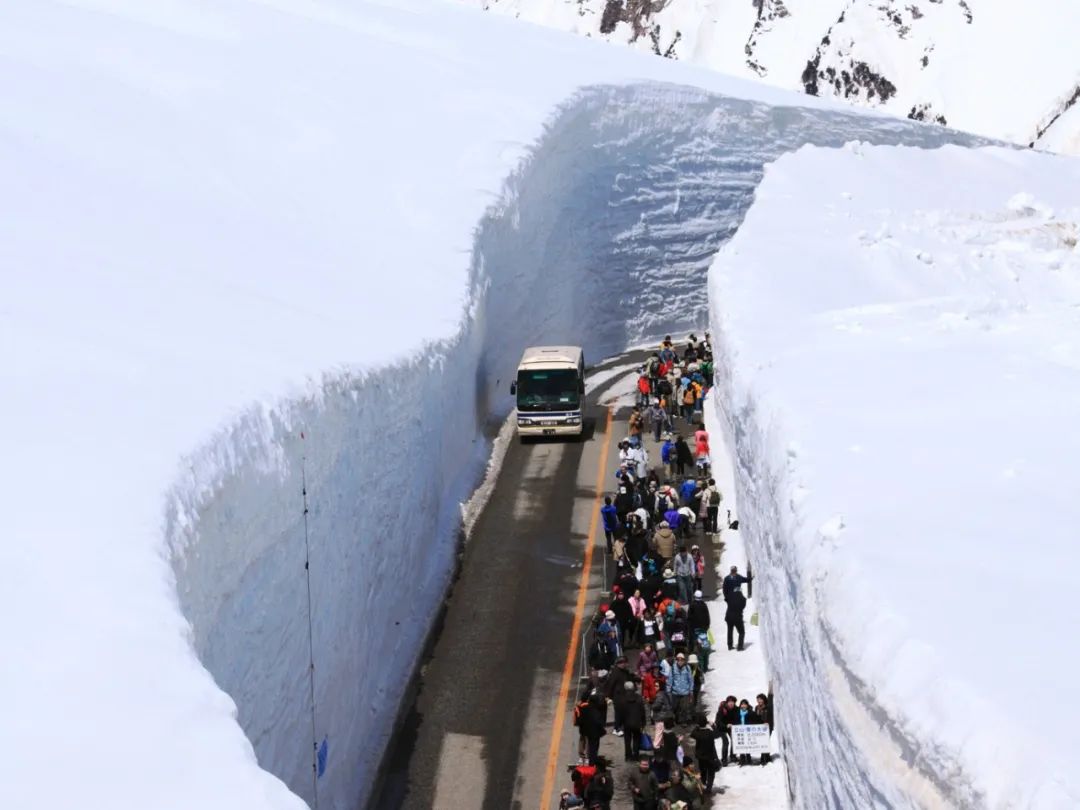 日本雪墙公路的旅游旺季可能颠覆你的想象