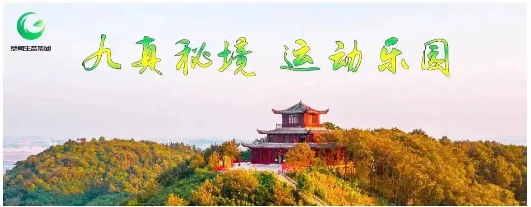 公告|九真山风景区、九真桃源景区2024年2月13日恢复开园~