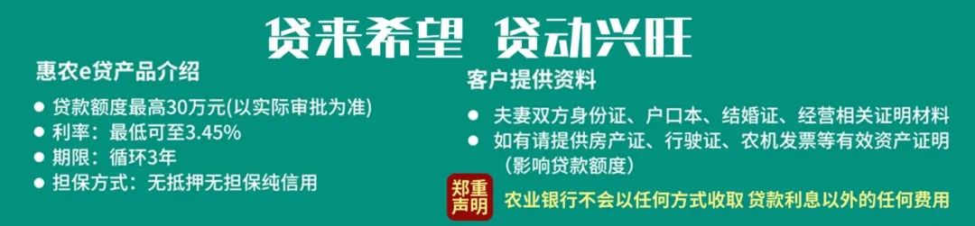 【网络中国节·春节】黄山风景区天气晴好  热度持续