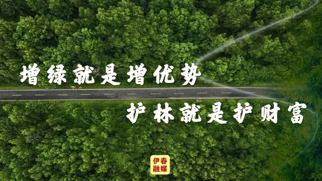 【冬季旅游】我们接您来伊春赏冰玩雪