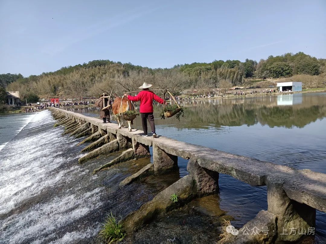 甲辰新年第一游一一仙都风景区