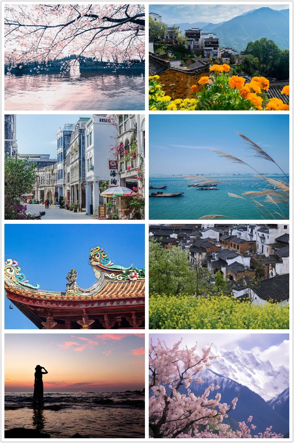 春天,新一期旅行预告
