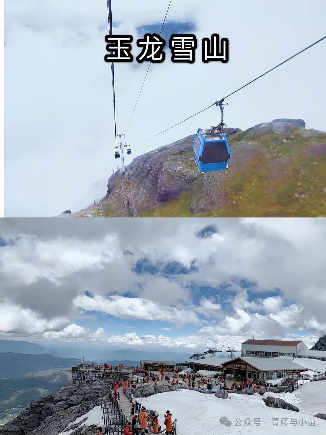 你旅游!我买单!青藤百万旅游津贴等你来