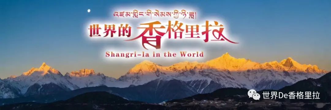 7天71万人次:迪庆春节旅游市场持续火爆!