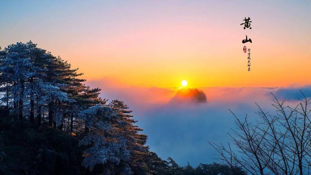 【免票游黄山】-黄山主景区、水墨宏村、屯溪老街、徽州古城(超值)三日游398元(3月5、12、19、26日)