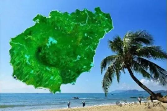 万元机票风暴!海南旅游遭遇天价难题,官方紧急出手!