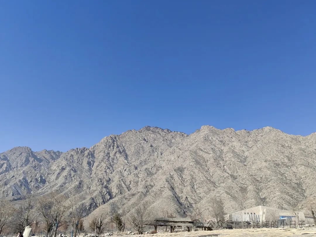 【游记】在银川追忆西夏的背影(之二)