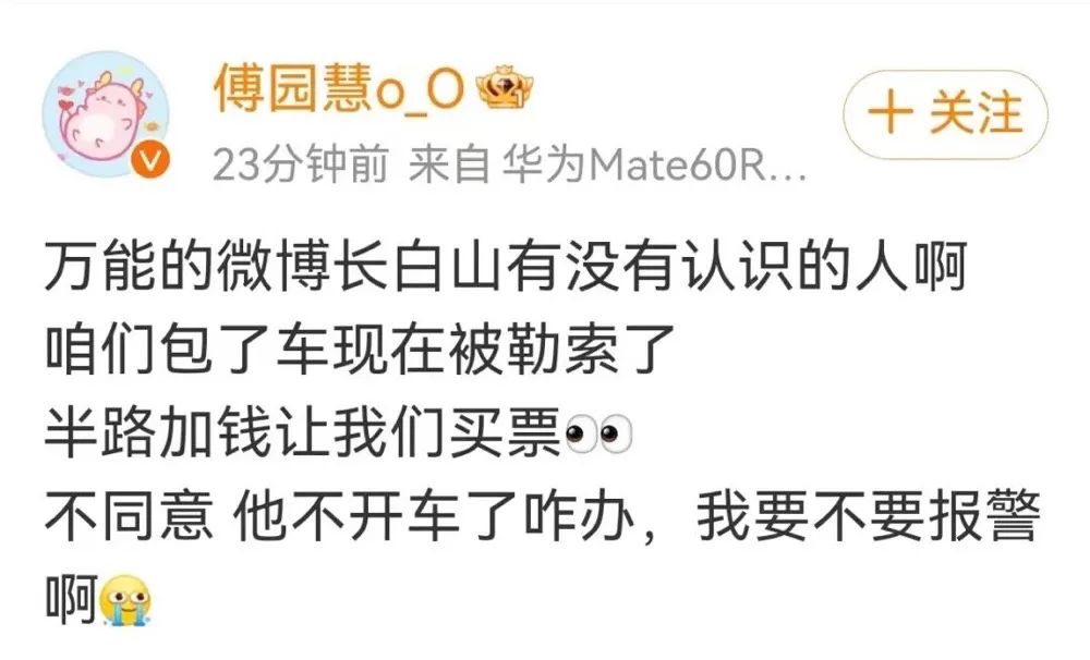 重罚3万!傅园慧的求助暴露文旅乱象
