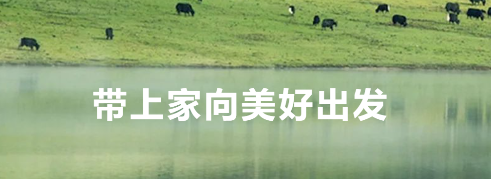 适合出游的全新福特底盘房车租赁