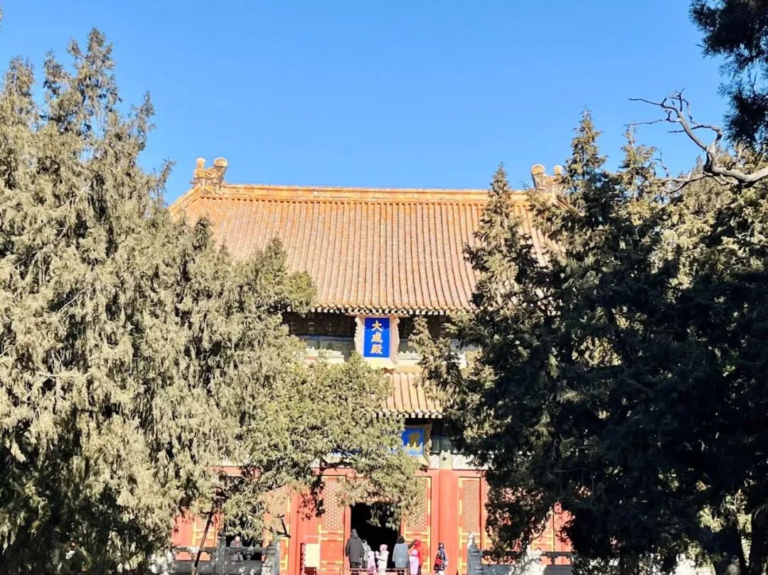 假日出游|北京之行第14天①孔庙 国子监