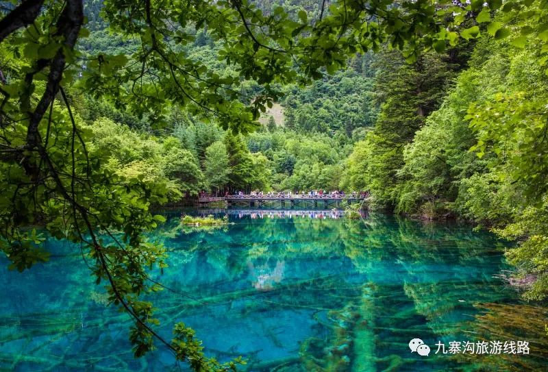 四川九寨沟旅游,多彩春天,在九寨沟等你