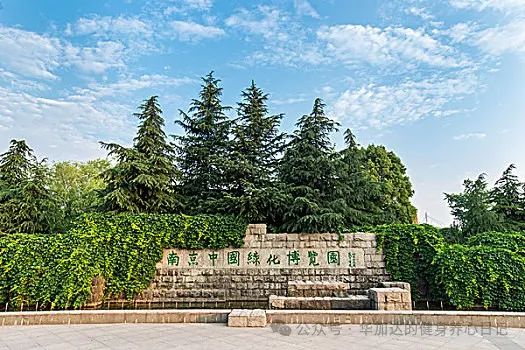 在绿博园陪孙游玩沙趣乐园,在跑步中听书收获控糖知识